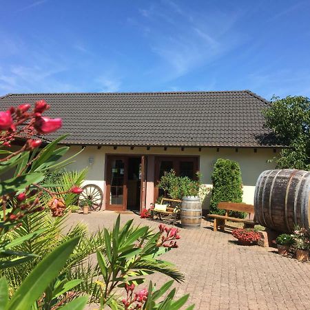 Apartmán Weingut Hans Bausch Hattenheim Exteriér fotografie