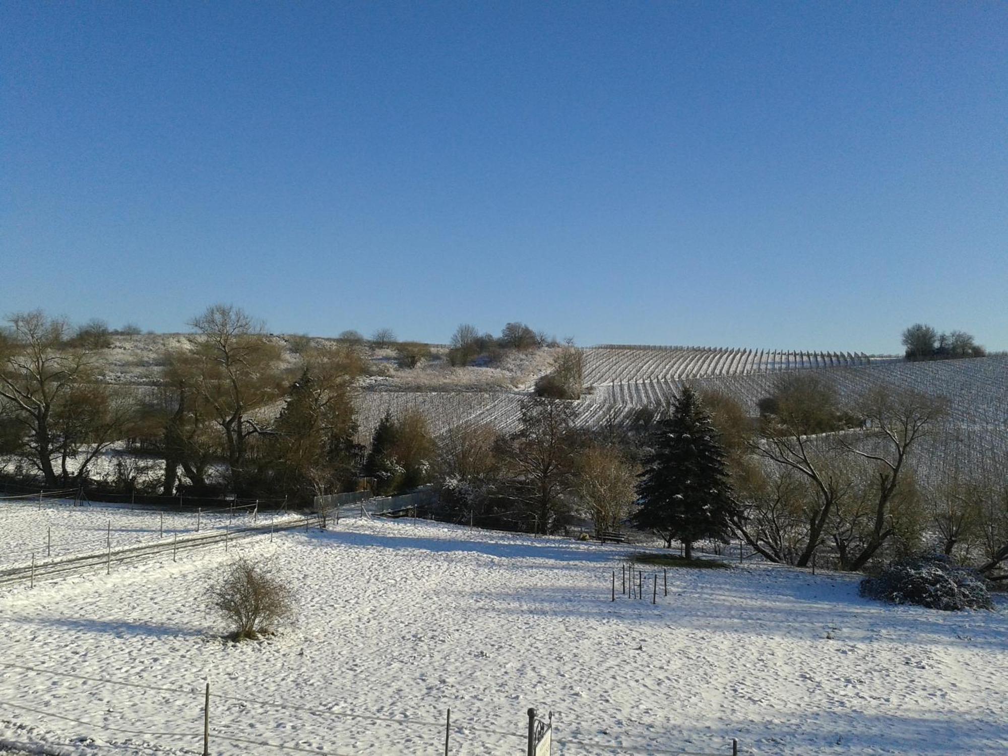 Apartmán Weingut Hans Bausch Hattenheim Exteriér fotografie